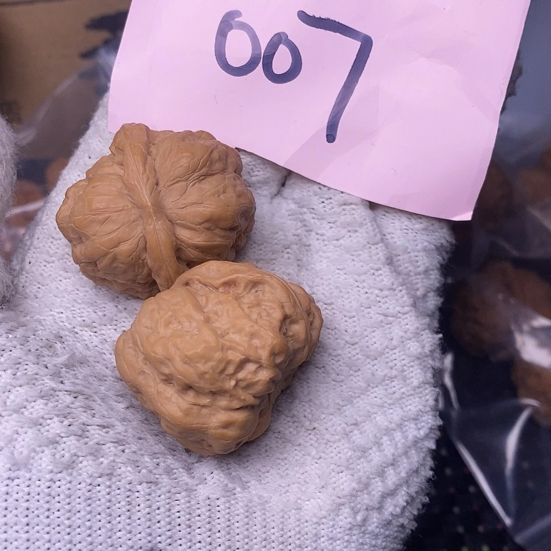 桃核把件蜡****_蛤蟆头一对
