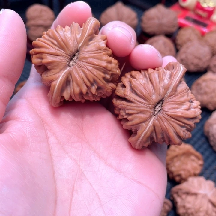 原装四座楼4.3全品无修。