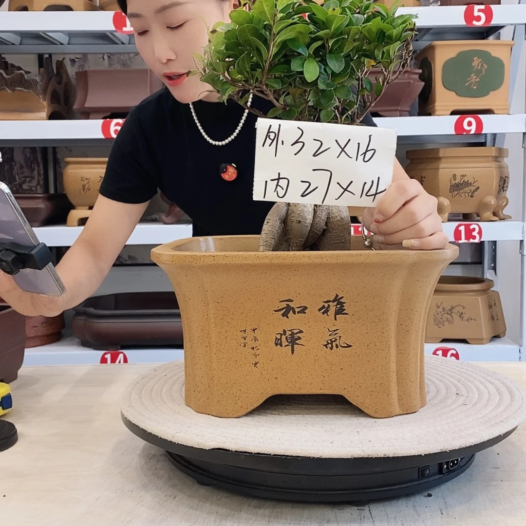 紫砂花盆紫砂花盆