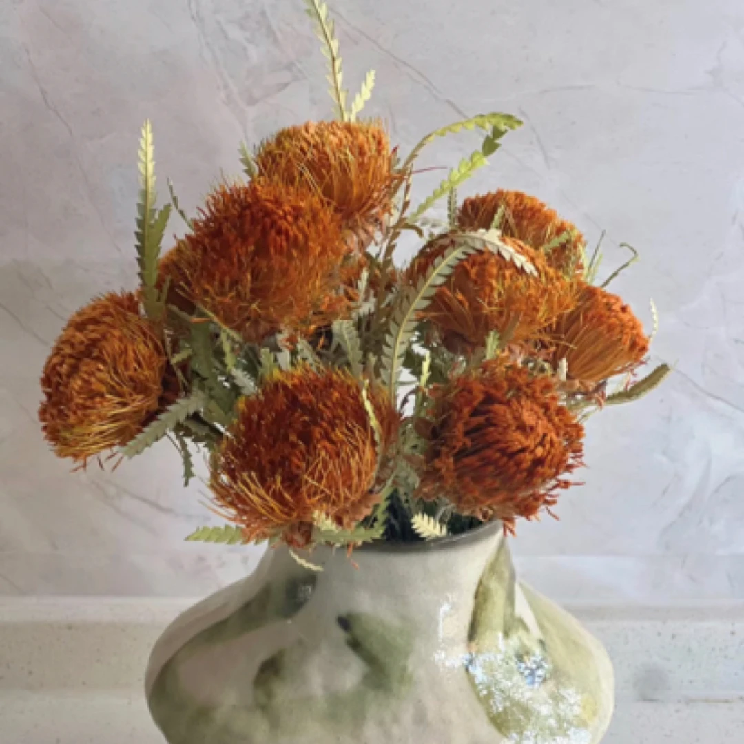 南非进口花黄金佛塔橙色可做干花