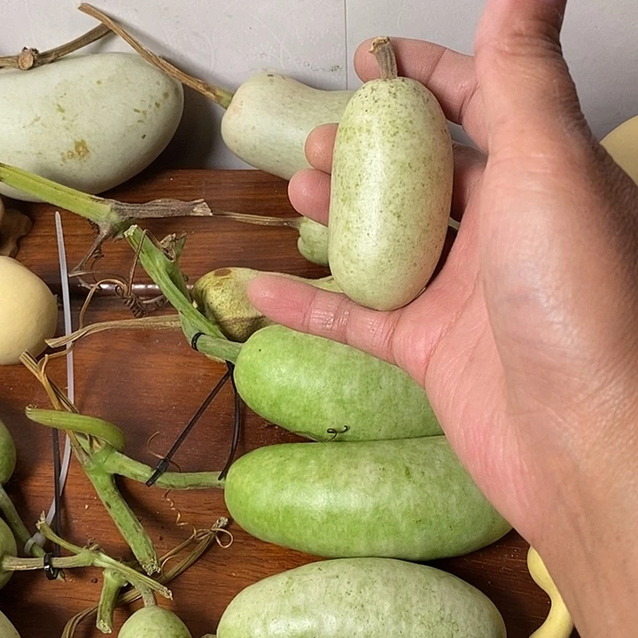 咕***噗青皮小象葫芦手把件