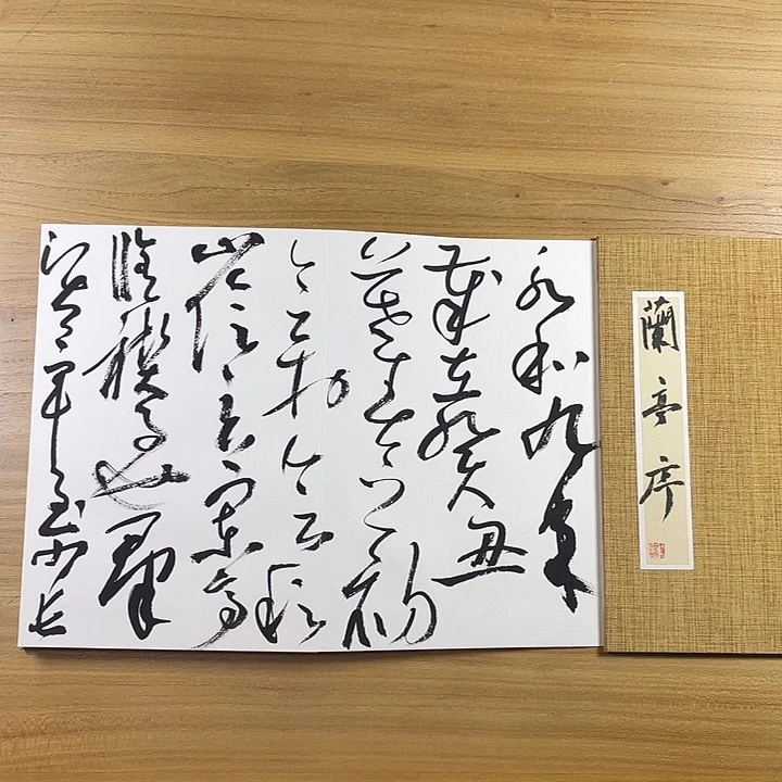 书法中书协会员作品