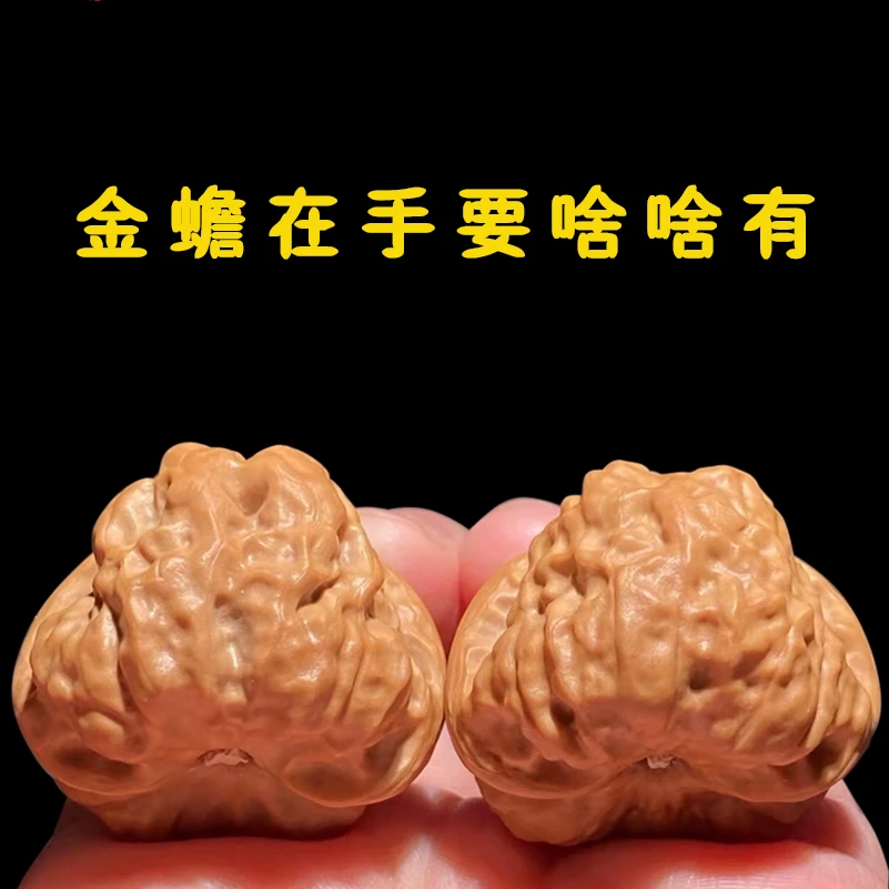 文玩核桃蛤蟆头自己玩送礼水晶皮盘出牛筋红