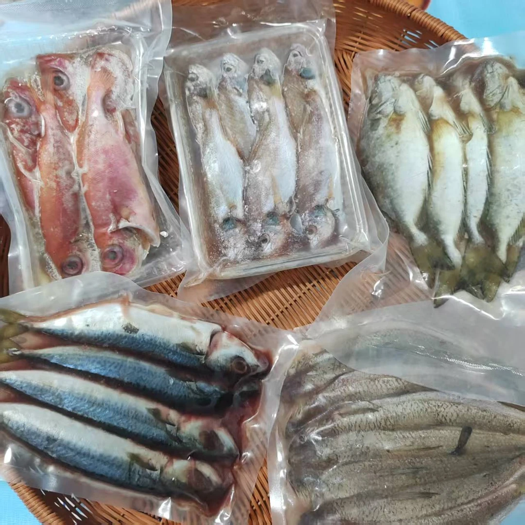 浅海鱼类组合套餐133