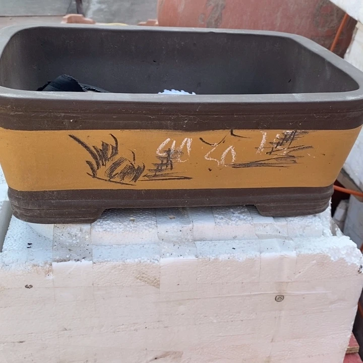 花盆紫砂只顾看电视剧