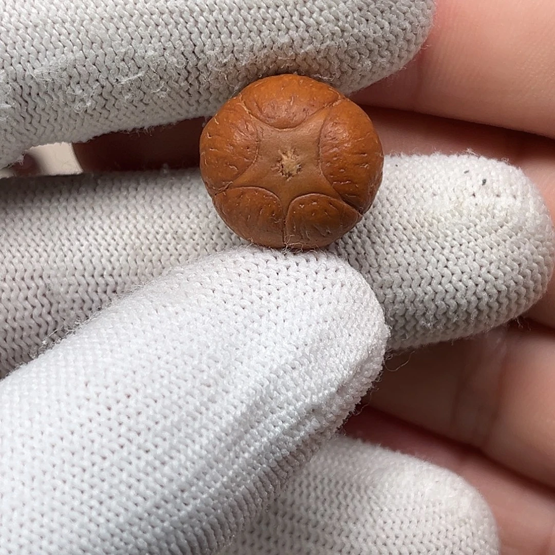 凤眼菩提吊坠18全品5星福利