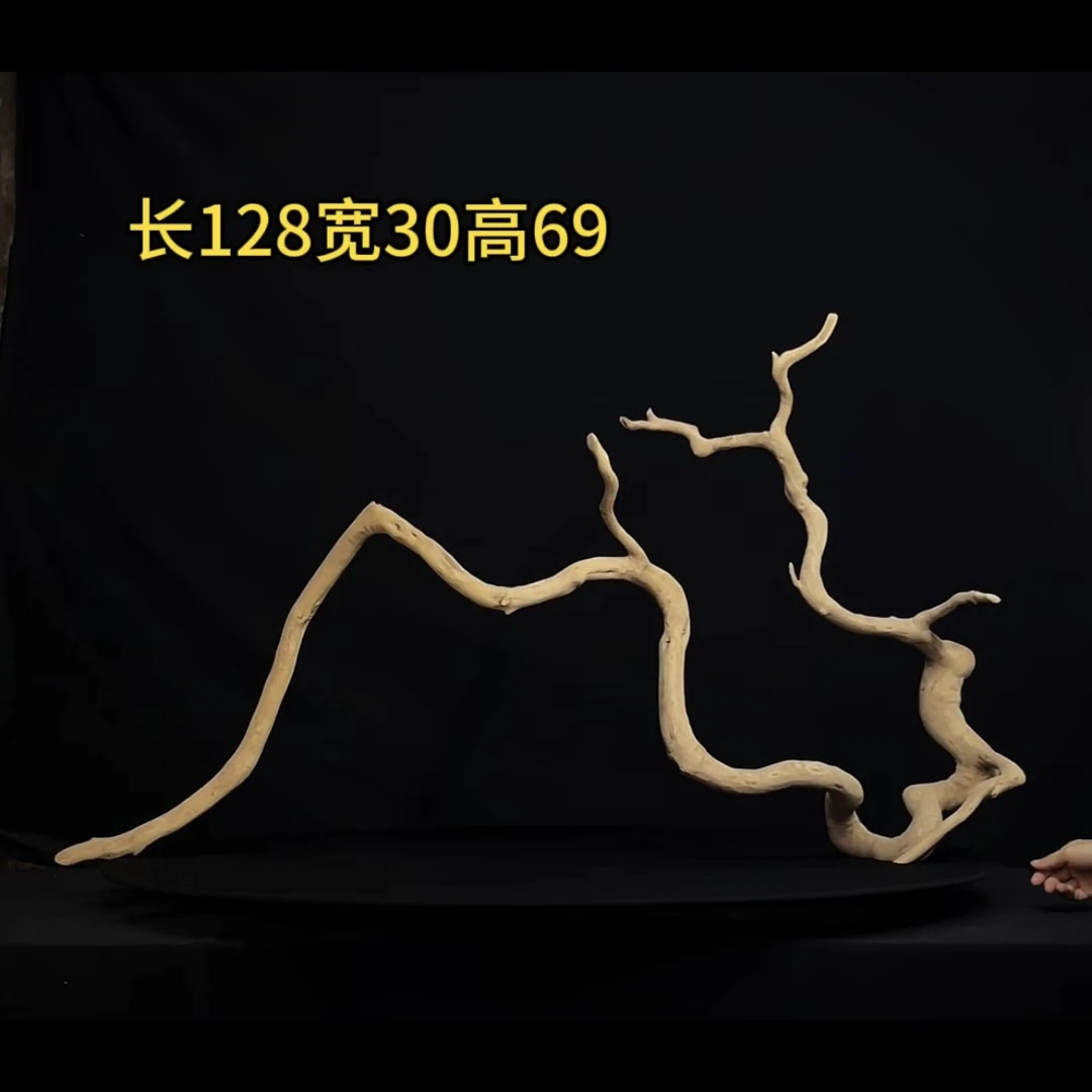 张大狼造景沉木长128cm一体多枝 南美鱼缸造景 鬼柳木秒沉
