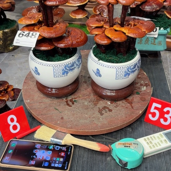 峰***灵芝888888888888888888