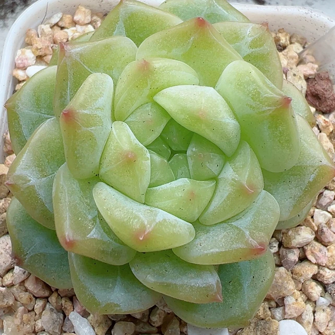 【闪购商品】220号哈哈哈