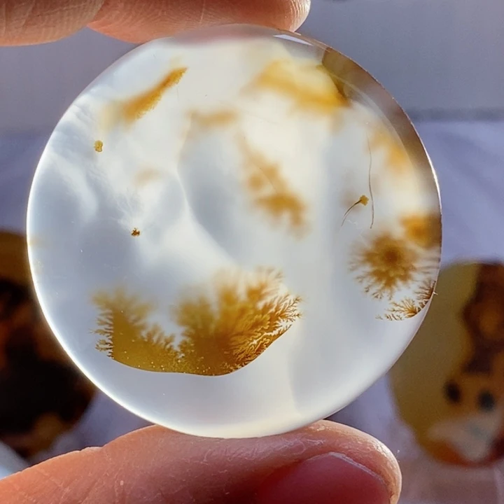 玛瑙/玉髓颈饰未镶嵌宏*罗