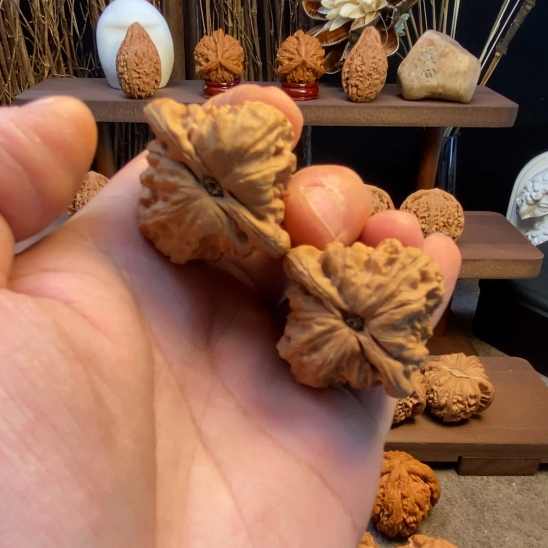 核桃手串/手链38全品白蛇骨