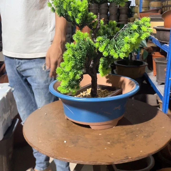 花盆花盆花盆花盆花盆花盆