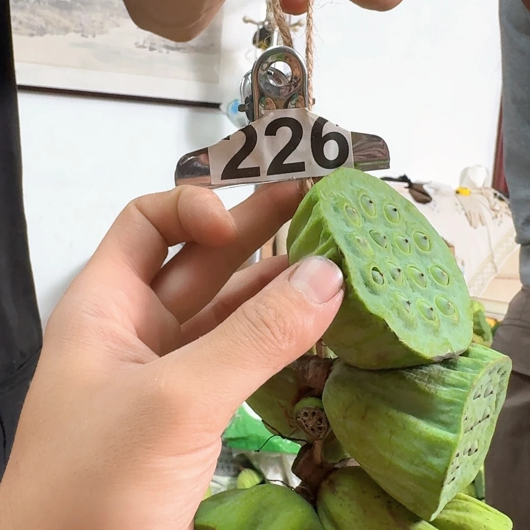 双****鲜莲蓬大的22个小的26个