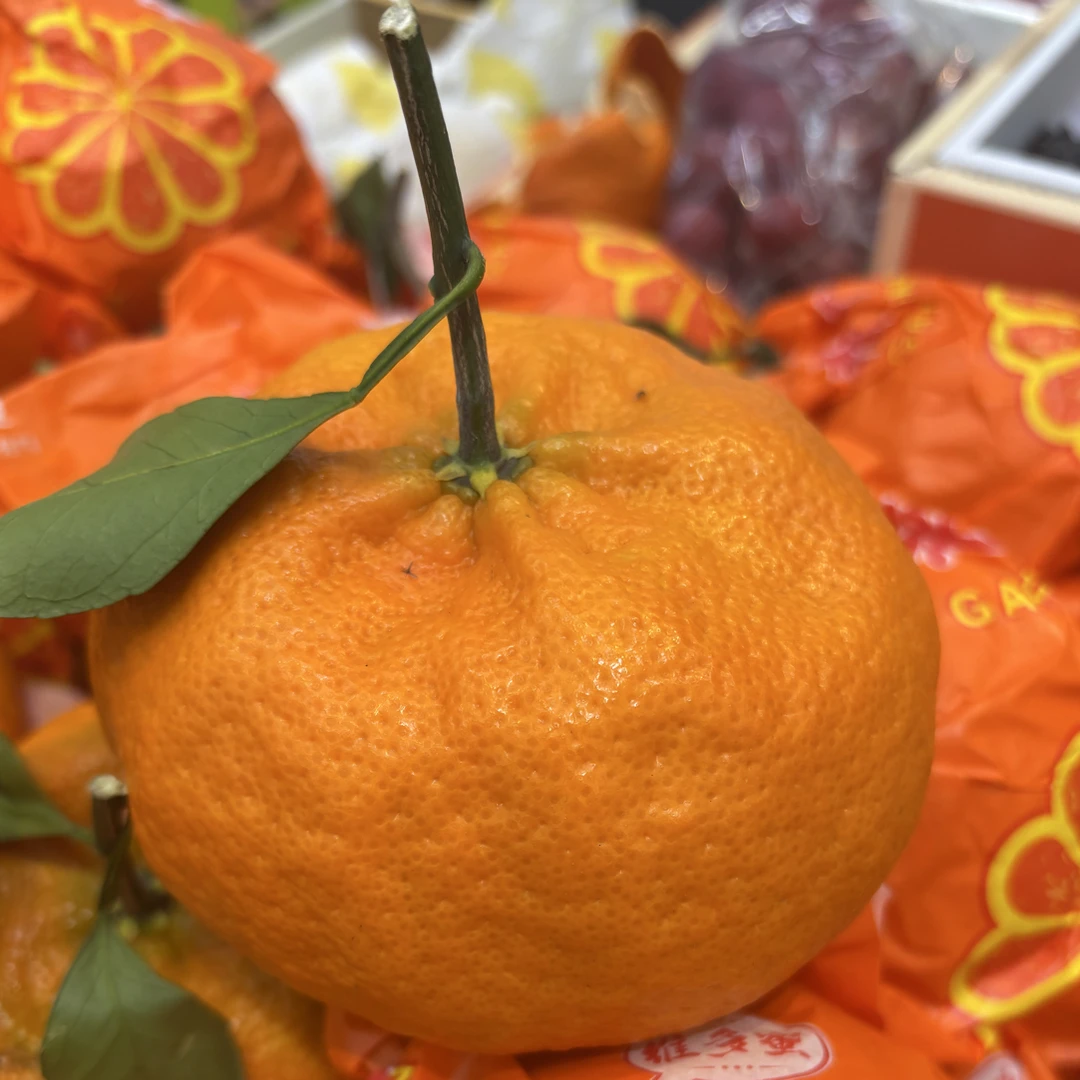 柑橘女皇柑平橘4斤左右四川省