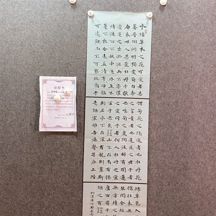 书法书法作品多次参加全国