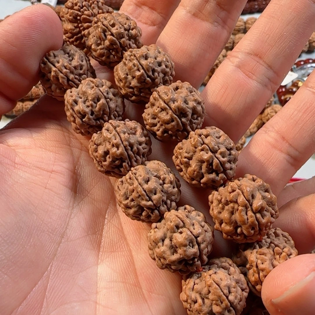 手串金刚菩提帝王花