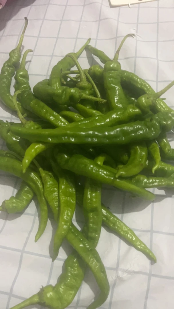 湖南农家自种新鲜薄皮香辣青辣椒本地土货