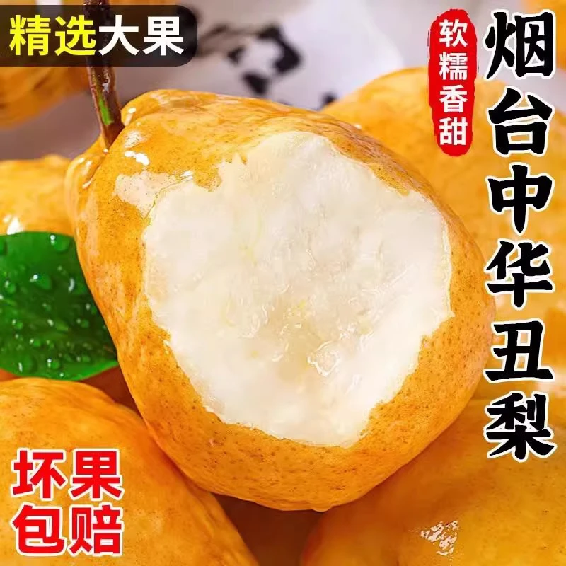 山东烟台中华丑梨香甜软糯新鲜水果梨子当季啤梨太婆软梨子包邮