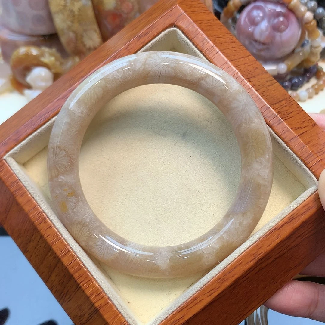 未镶嵌手镯硅化珊瑚（珊瑚玉）57.5口500