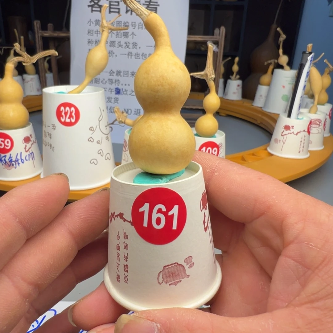 闪电购自助下单编号161