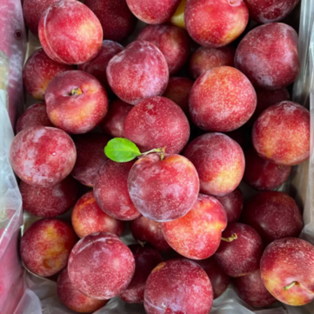 智利樱桃李五斤5J
