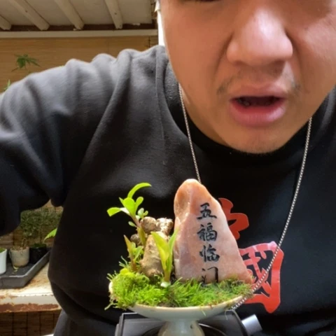 红陶平***!一物一拍所见即所得141