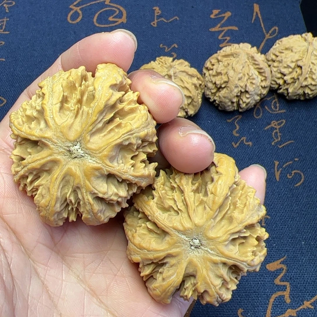 文玩核桃把件秦岭野生植物核桃