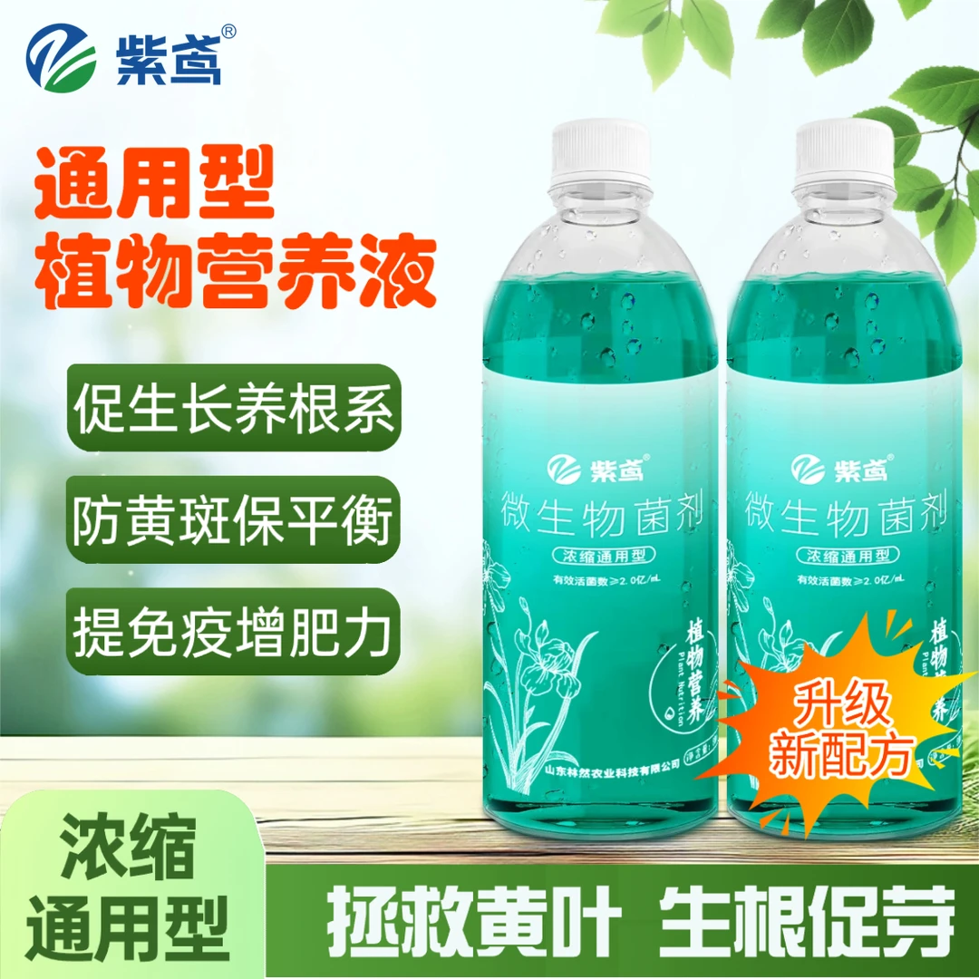 【升级版】氨基酸高浓营养液植物通用型水溶肥三角梅发财树富贵竹