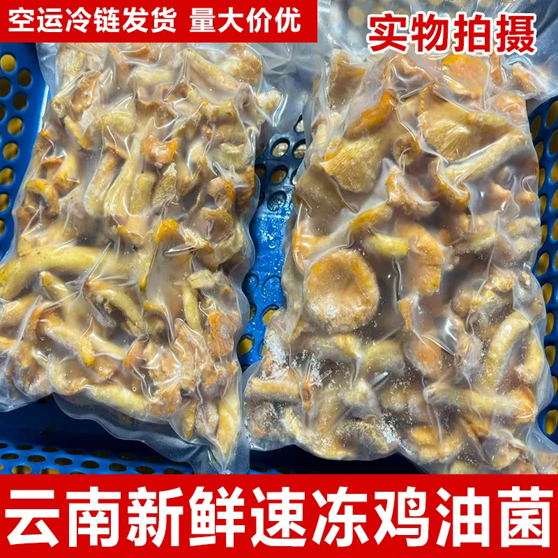 冰冻野生鸡油菌云南野生菌黄丝菌食用蘑菇菌子鸡油黄榆黄菌