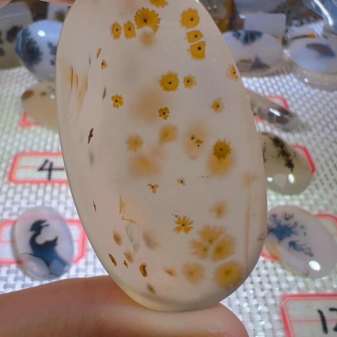 未镶嵌颈饰玛瑙/玉髓