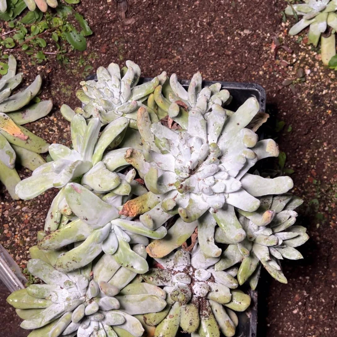 5555哈哈哈哈哈哈哈哈