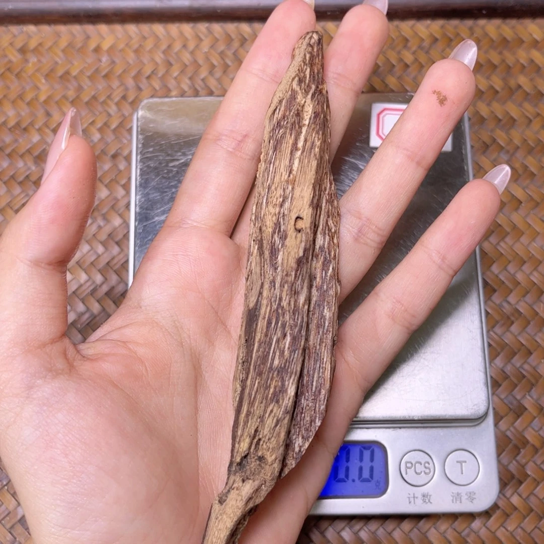 香榧木海南尖峰岭淳化老虫漏开播福利