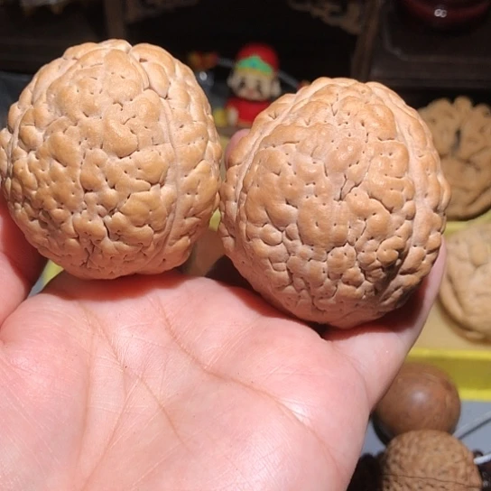 金刚菩提吊坠练手脑纹金刚