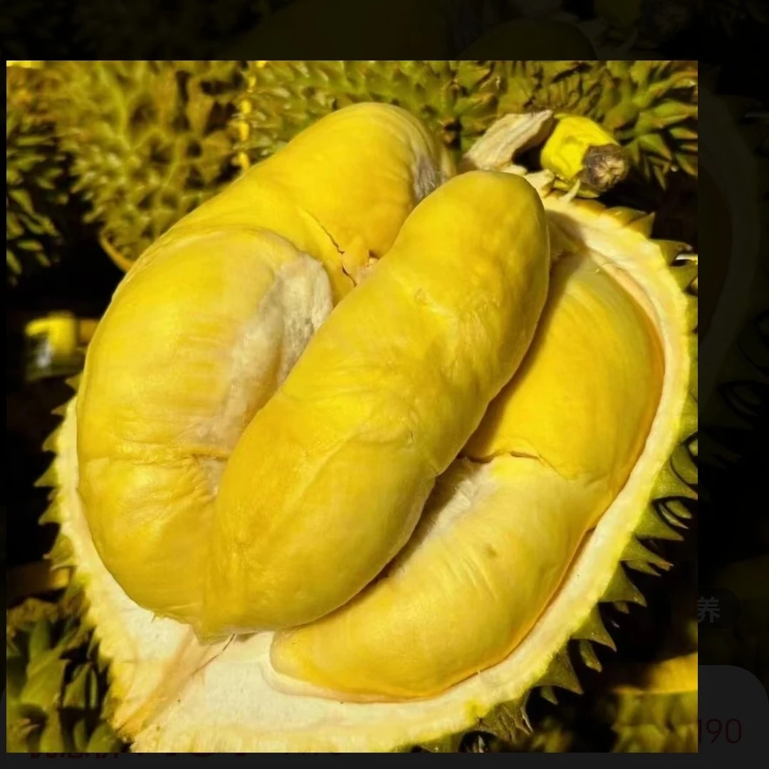 ❹【现开特价果肉】泰国金枕新鲜榴莲一果一重核小软糯香甜（默认开果，不开请备注）金枕泰国东部