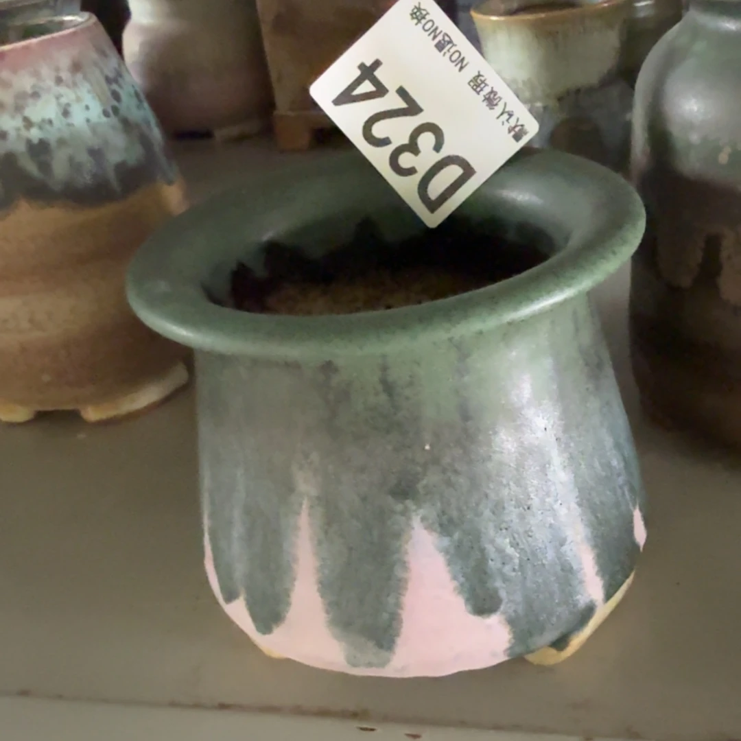 重庆小燕子欢迎大家324