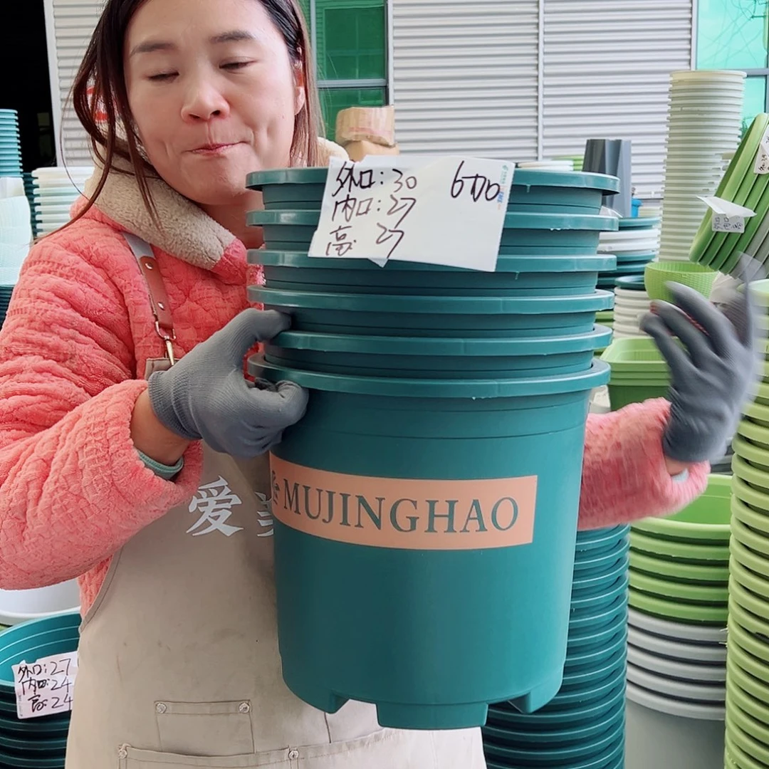 瑕疵6加仑墨绿色6个无托