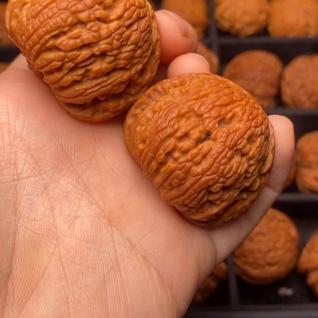 秦岭野生文玩核桃