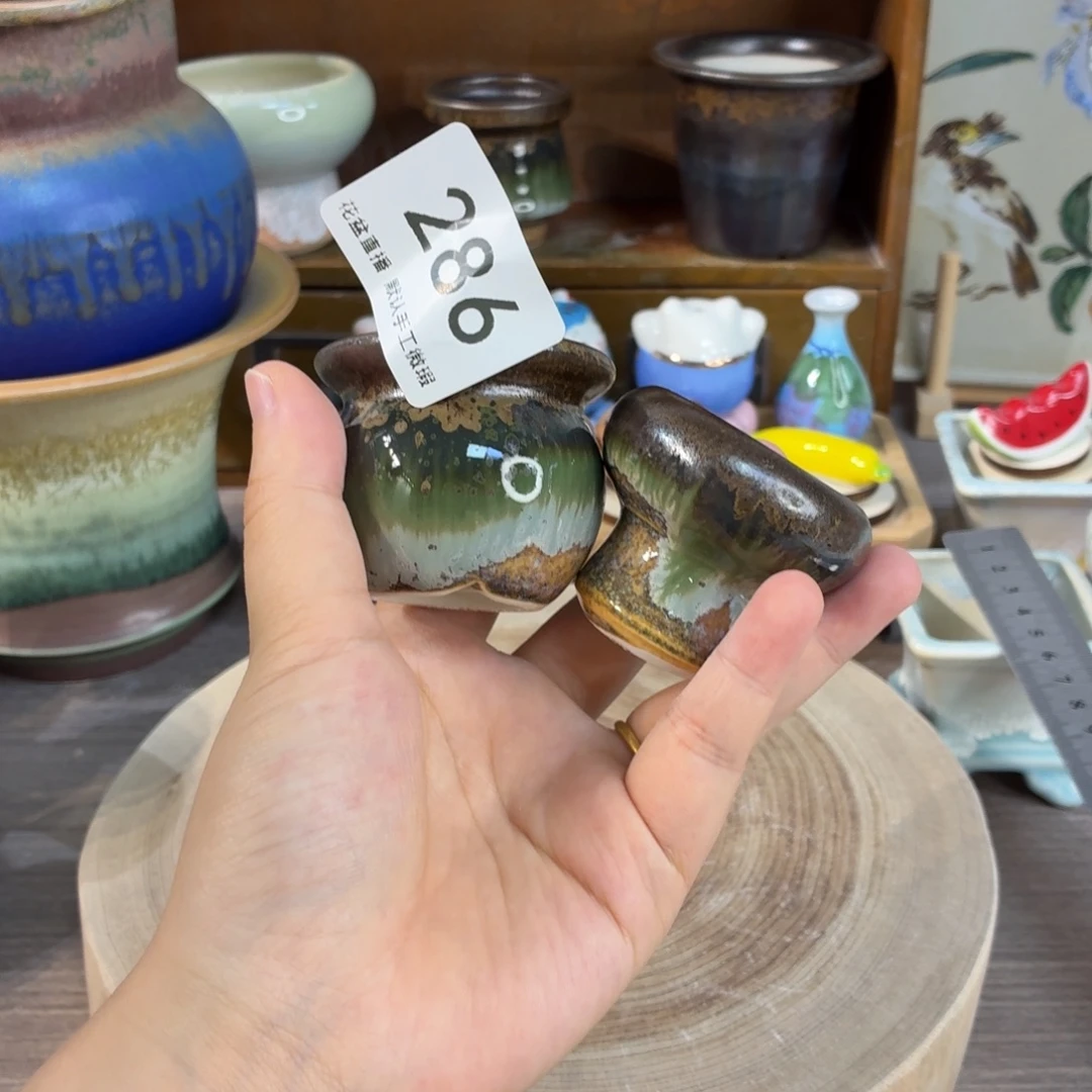 花盆花盆花盆花盆小鼻嘎