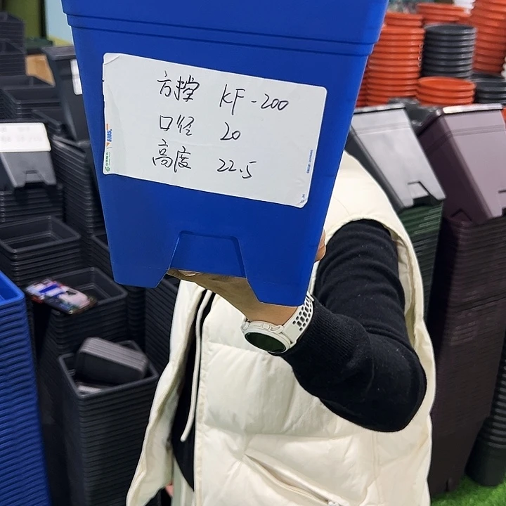 特价方盆口20高22深蓝带托5只