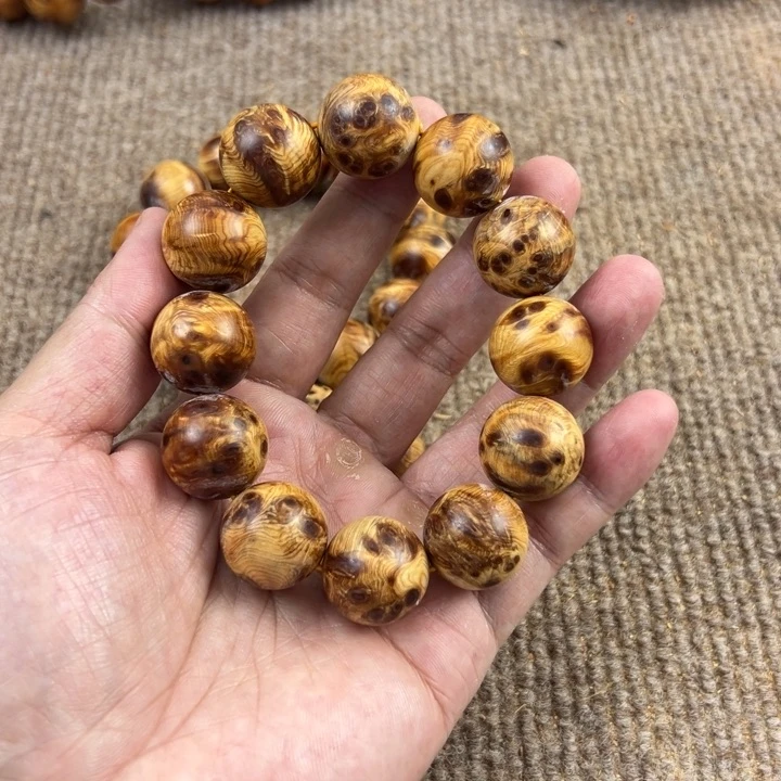 木太行崖柏2.0陈化瘤疤。。。。。