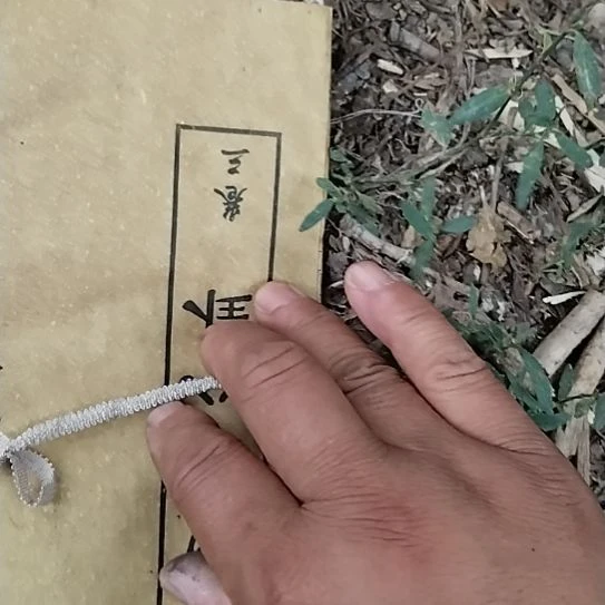 缸唐*瓷器鉴定完毕之后