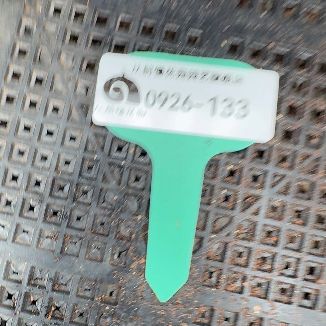 从前慢多肉精选编号0926.133