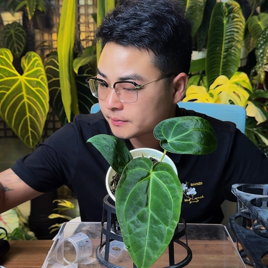 小***呀完全开放一物一拍S36