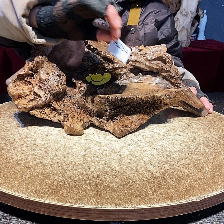 在*起284株木随行的小根艺