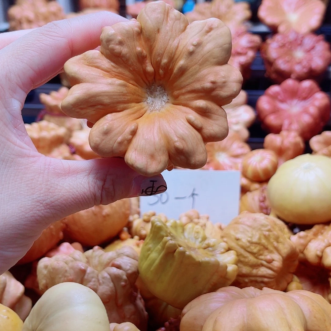 M***﹉陶瓷墨西哥葫芦可盘可摆