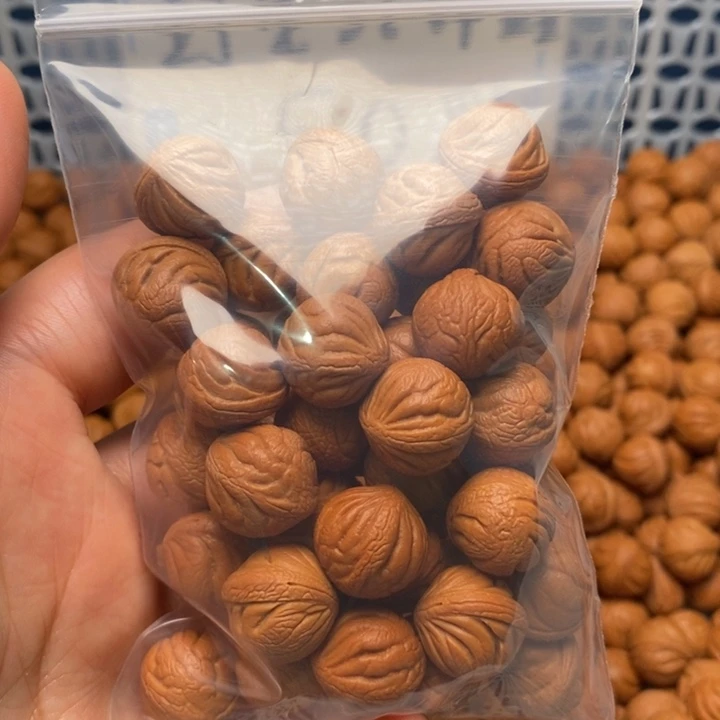 桃核手串15mm左右野生红锦鲤30颗打底带绳（打孔）