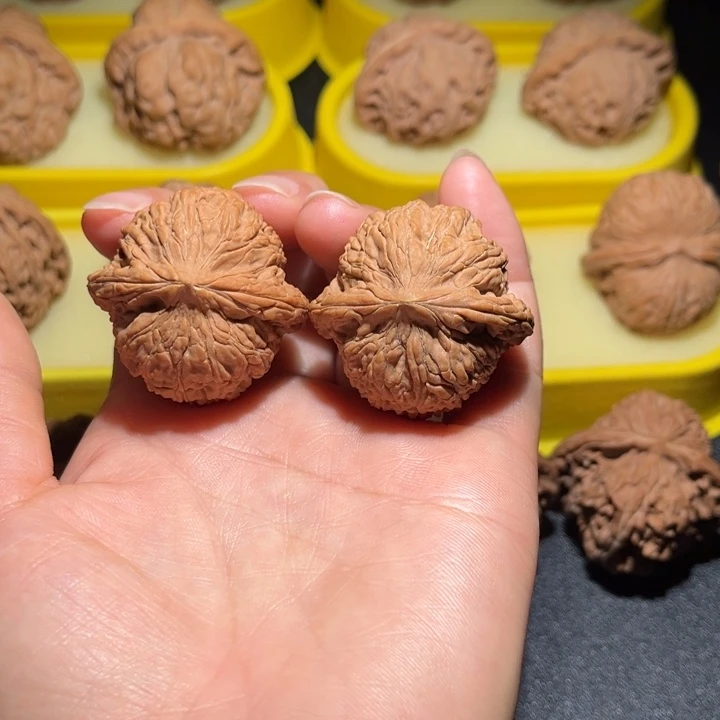 涞水山地果绣球全品