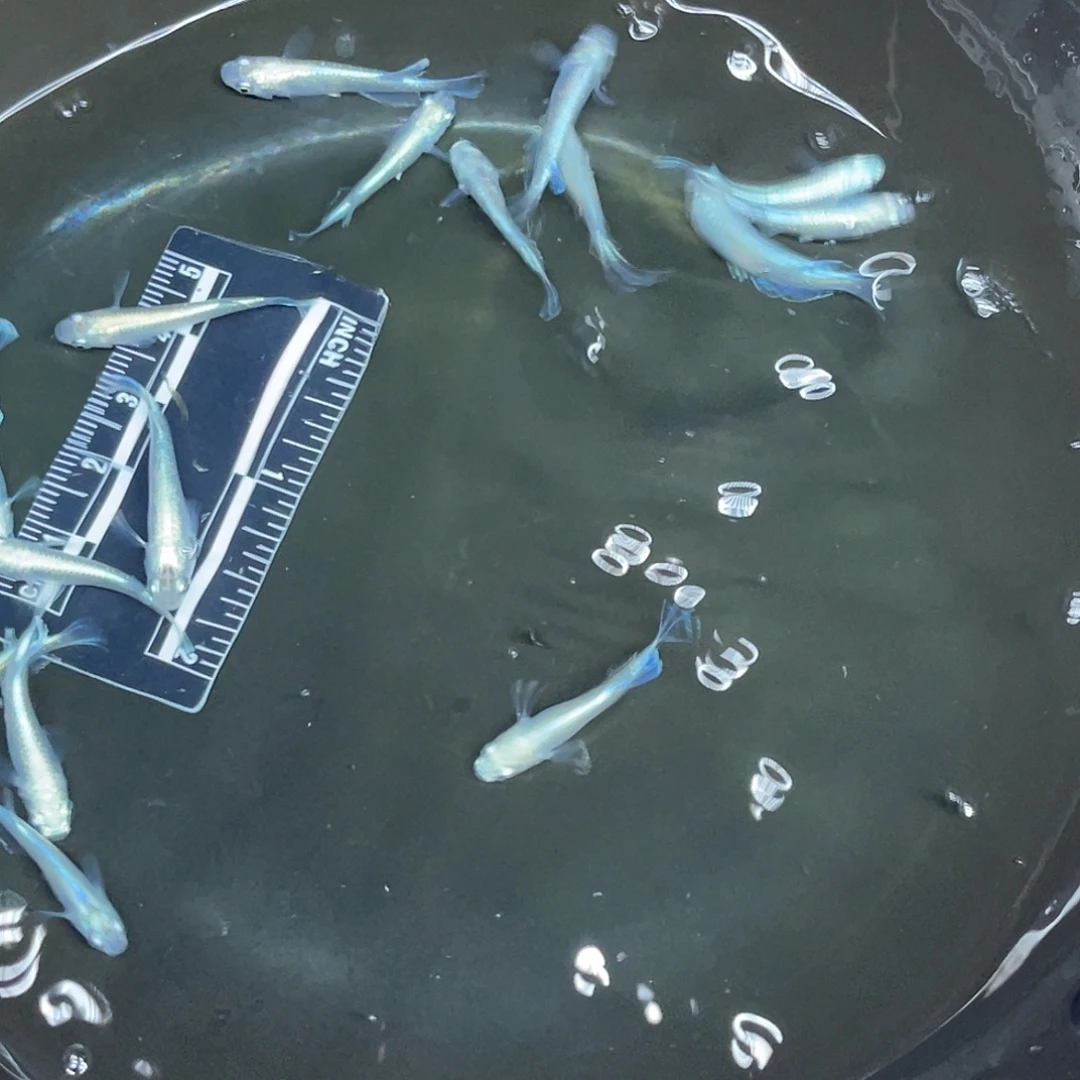 海星2-5号哈哈哈哈哈哈，