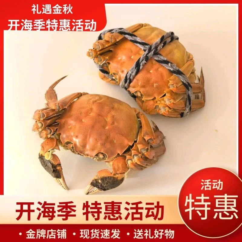 小孙专属新疆河蟹【活蟹5只】全母蟹1.8-2两/只全疆包邮