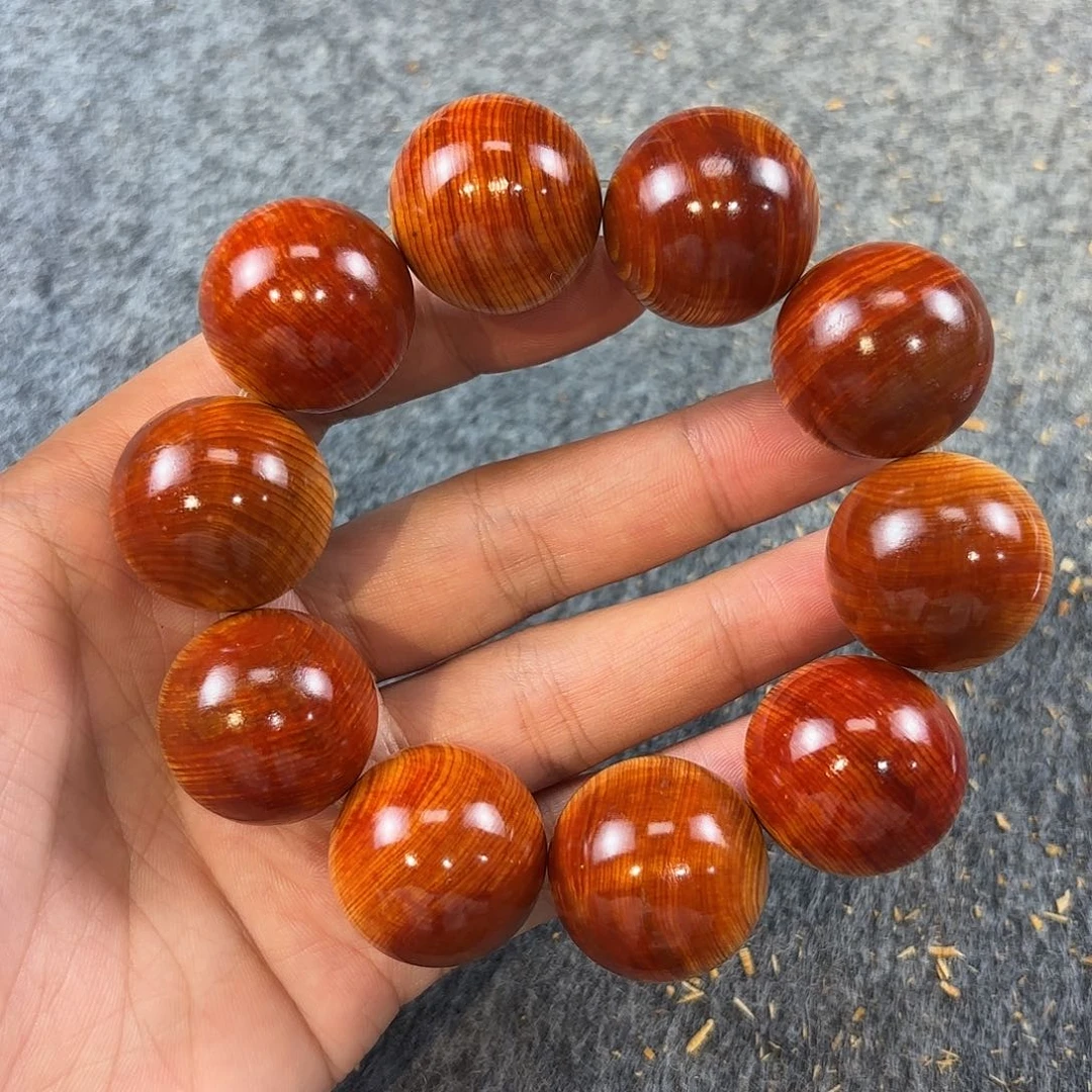 崖柏太行崖柏红太阳2.5